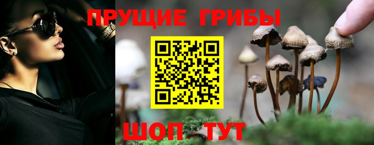 Галлюциногенные грибы Psilocybe Гагарин