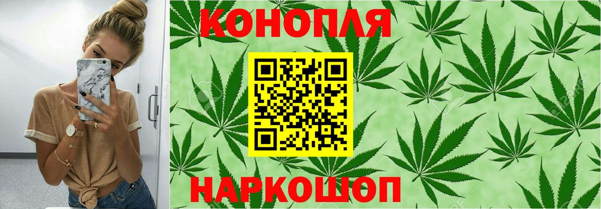 Конопля Bruce Banner Гагарин